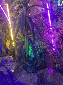 Indoor Theme Park Artificial Tree and Neon Lights Photos