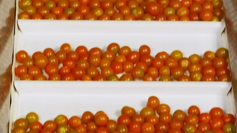 Indoors, Day, Medium Shot, Lockdown, 10 Seconds Or Greater, On The Move, Video stock 94020548