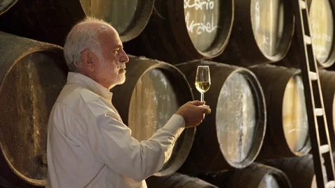 Indoors, Day, Side View, Medium Shot, Lockdown, 10 Seconds Or Greater, Looking, Stock Footage 94021391