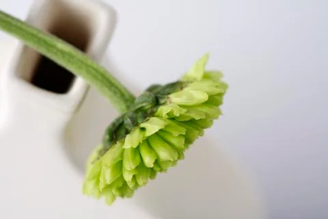 Indoors Stock Photos