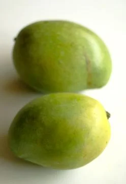 Indramayu Mango Stock Photos