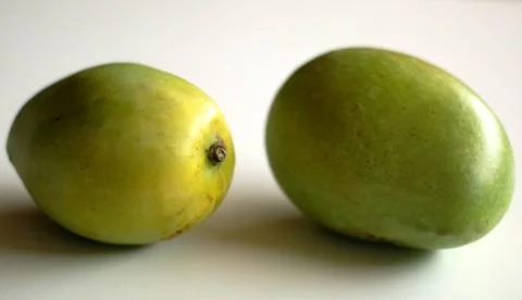 Indramayu Mango Foto stock