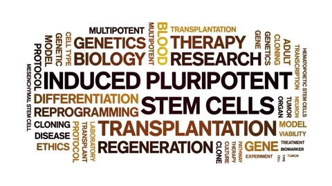 Induced Pluripotent Stem Cells animated word cloud,animation seamless loop. Stock Footage 327599434
