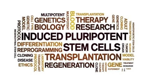 Induced Pluripotent Stem Cells animated word cloud,animation seamless loop. Stock Footage 327599455