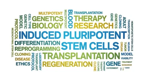 Induced Pluripotent Stem Cells animated word cloud,animation seamless loop. Stock Footage 327599467