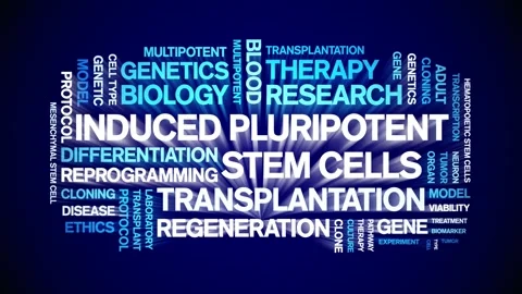 Induced Pluripotent Stem Cells animated word cloud,animation seamless loop. Stock Footage 327600651