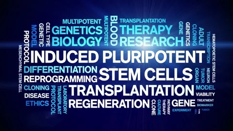 Induced Pluripotent Stem Cells animated word cloud,animation seamless loop. Video stock 327628510
