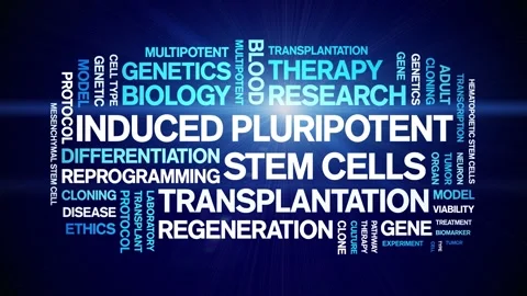 Induced Pluripotent Stem Cells animated word cloud,animation seamless loop. Stock Footage 327646908