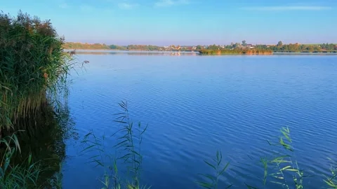 The Indurka River flows through the Grodno region. Belarus.  Stock Footage 296218942