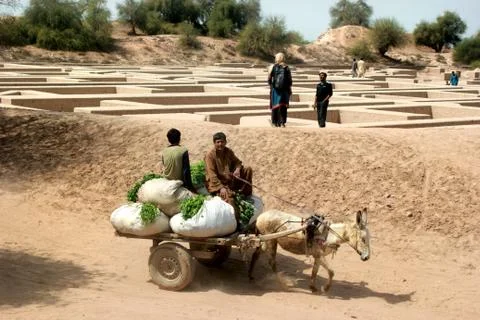 Indus Valley of Civilization 스톡 사진