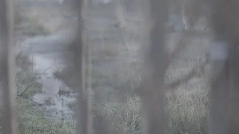 Industrial and abandoned land plot with a fence in front peaking through 動画素材 245470843