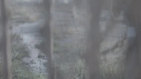 Industrial and abandoned land plot with a fence in front peaking through 動画素材 245883975