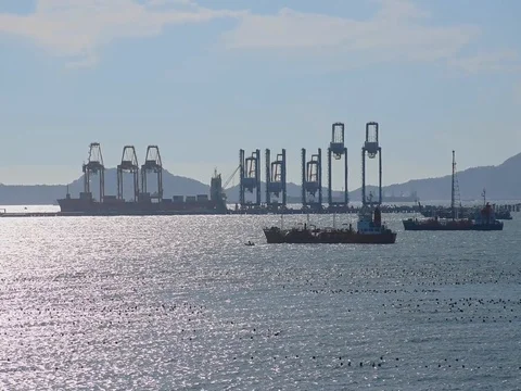 Industrial and Container ship logistic the harbor in Thailand Video stock 77291932