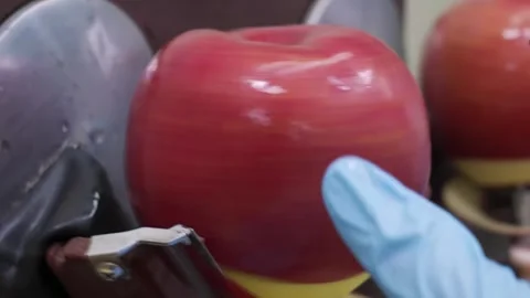 Industrial Apple Peeling Process for Commercial Dessert and Pie Production Stock Footage 337751331