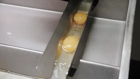 Industrial Automatic Egg Cracking And Yolk Separation Process. Video stock 322010015
