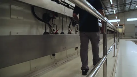 Industrial Baking Machine Stock Footage 157747017