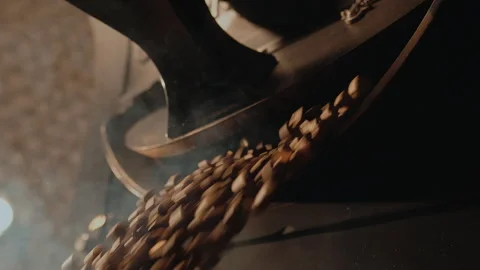 Industrial bean roasting in slow motion. Fresh fried hot coffee beans fall down Stock Footage 260572573