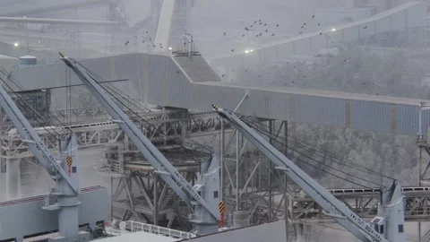 Industrial Birds Stock Footage 166549387