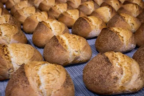 Industrial bread line process Stock Photos