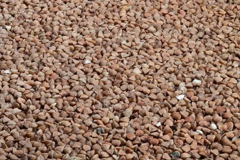 Industrial bulk buckwheat pattern, Granular buckwheat surface with shadows and h Foto stock