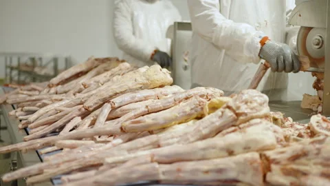 Industrial Butchery Workers Cutting Meat Bones on Conveyor Line Stock Footage 339066985