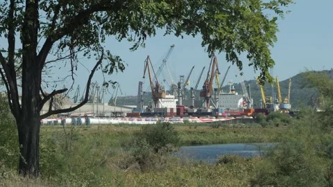 Industrial cargo port cranes loading shipping containers Stock Footage 345928316