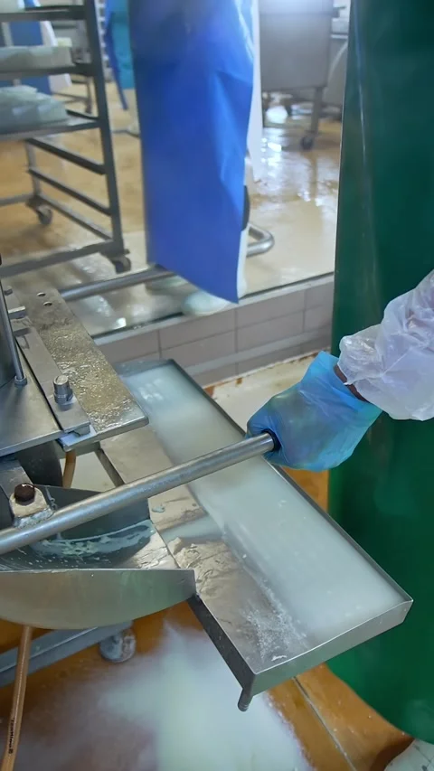 Industrial cheese production process with workers operating molding machine.. Stock Footage 337545323