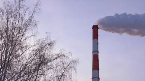 Industrial chimney stack at heat power station on background sky and bare trees Stock Footage 85485926