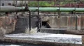 Industrial cleaning wastewater by supplying ogygen in water HD Footage