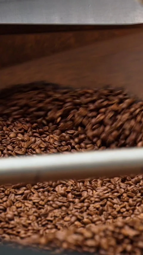 Industrial coffee bean roasting process showing cinematic motion of brown b.. Stock Footage 339374804
