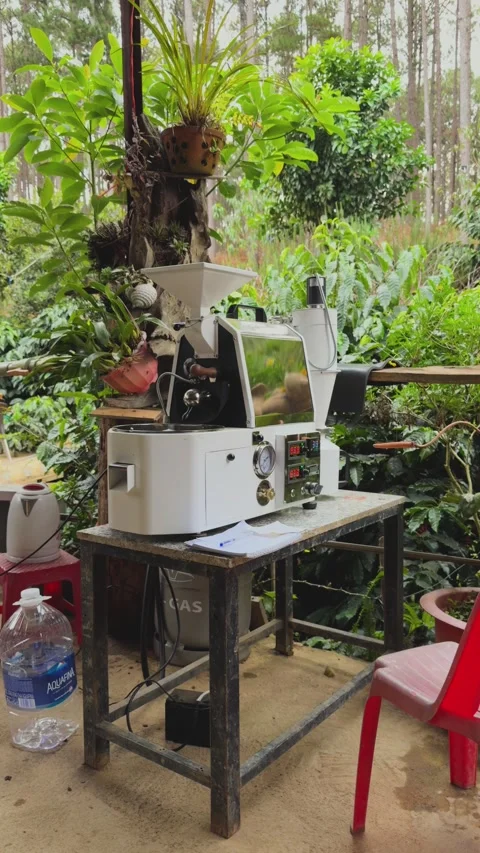 Industrial Coffee Grinder Processing Roasted Beans into Powder Vídeo Stock 328785191