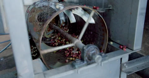 Industrial Coffee Machinery Processing Cherries In Farm Processing Plant Me.. Stock Footage 330111601