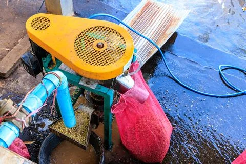 Industrial Coffee Pulper Machine Processing Raw Cherries At Rural Farm Mid Sh Stock Photos