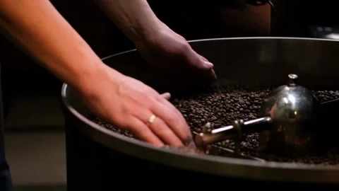 Industrial Coffee Roaster Beans roasting in vintage Probat machine coffee 스톡 동영상 334643524