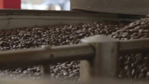 Industrial Coffee Roaster Beans roasting in vintage Probat machine coffee 스톡 동영상 334643577