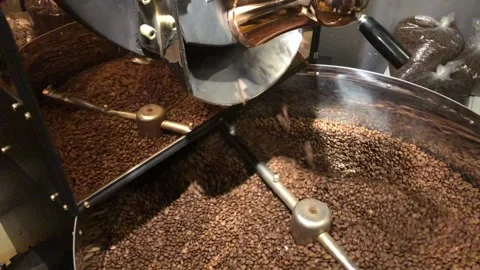 Industrial Coffee Roaster Beans roasting in vintage Probat machine coffee 스톡 동영상 334643634