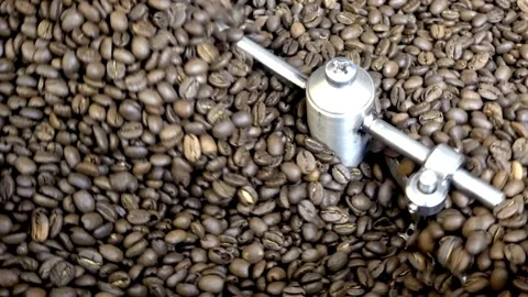 Industrial Coffee Roaster Beans roasting in vintage Probat machine coffee 스톡 동영상 334643646