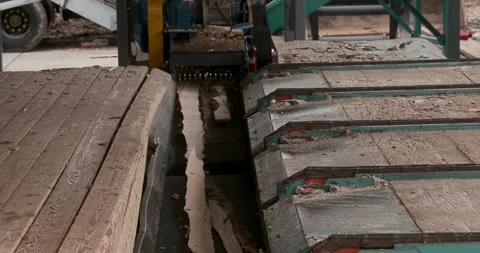 Industrial conveyor machine moving soil and debris through a narrow processing 스톡 동영상 346317513