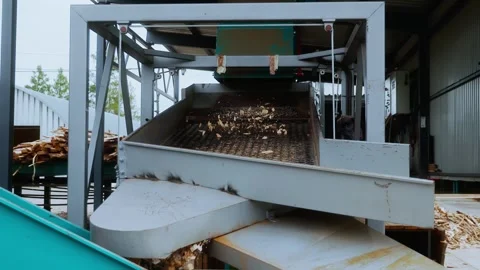 Industrial conveyor machine sorting and moving small wood pieces through a 스톡 동영상 346315837