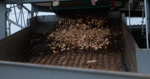 Industrial conveyor screen separates wood chips as material moves across 스톡 동영상 346315852