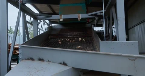 Industrial conveyor sorting and transporting small wood pieces through 스톡 동영상 346317472