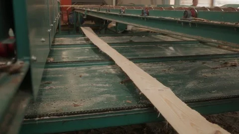 Industrial conveyor system moving a long wooden board through dusty green 스톡 동영상 346317289