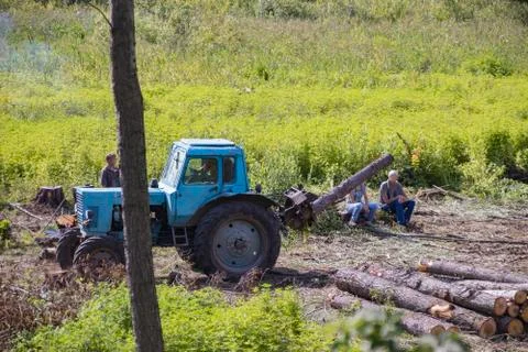 Industrial deforestation by forestry workers using machinery Stock Photos