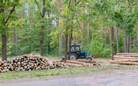 Industrial deforestation by forestry workers using machinery Stock Photos