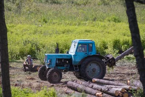 Industrial deforestation by forestry workers using machinery Stock Photos