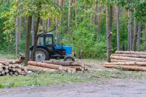 Industrial deforestation by forestry workers using machinery Stock Photos