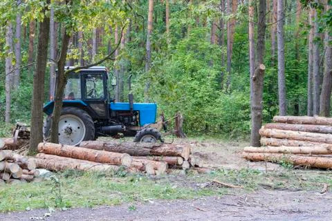 Industrial deforestation by forestry workers using machinery Stock Photos
