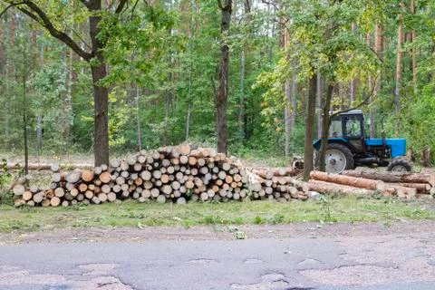 Industrial deforestation by forestry workers using machinery Stock Photos