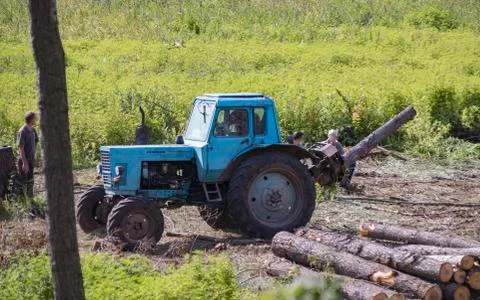 Industrial deforestation by forestry workers using machinery Stock Photos