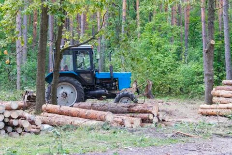Industrial deforestation by forestry workers using machinery Stock Photos